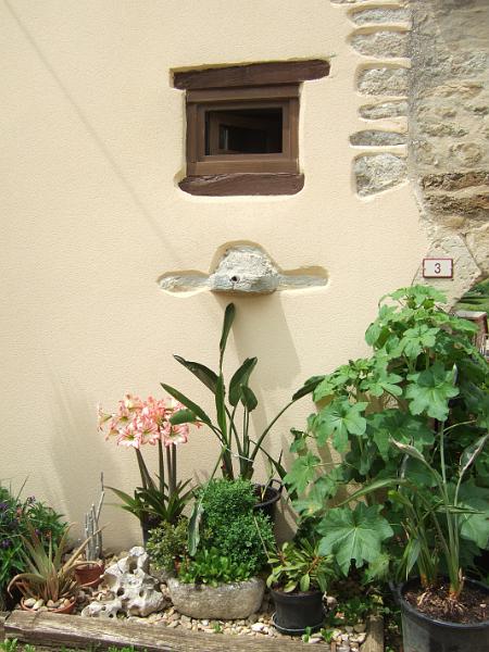 2010-05- (101).JPG